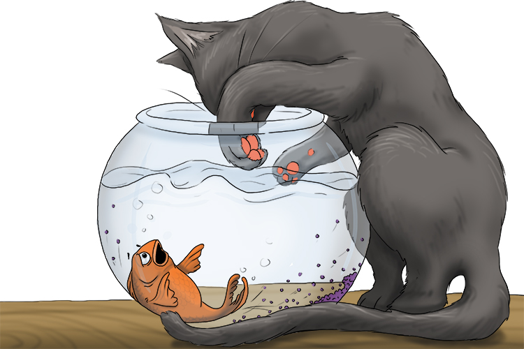 It was very troubling for the goldfish when the cat got her paw into the bowl.